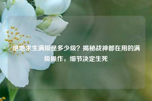 绝地求生满级是多少级？揭秘战神都在用的满级操作，细节决定生死