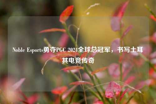 Noble Esports勇夺PGC 2024全球总冠军，书写土耳其电竞传奇