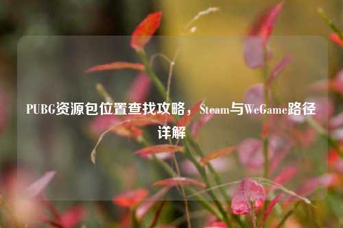 PUBG资源包位置查找攻略，Steam与WeGame路径详解