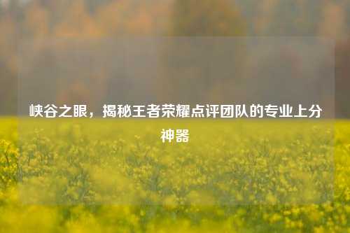 峡谷之眼，揭秘王者荣耀点评团队的专业上分神器