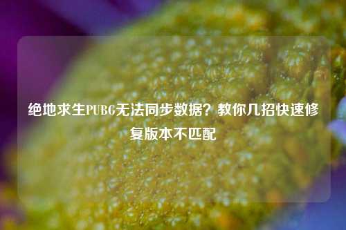 绝地求生PUBG无法同步数据？教你几招快速修复版本不匹配