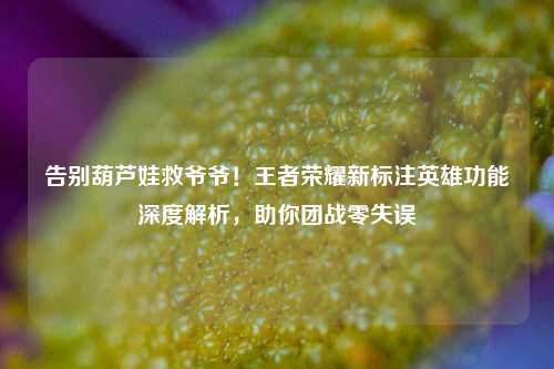 告别葫芦娃救爷爷！王者荣耀新标注英雄功能深度解析，助你团战零失误