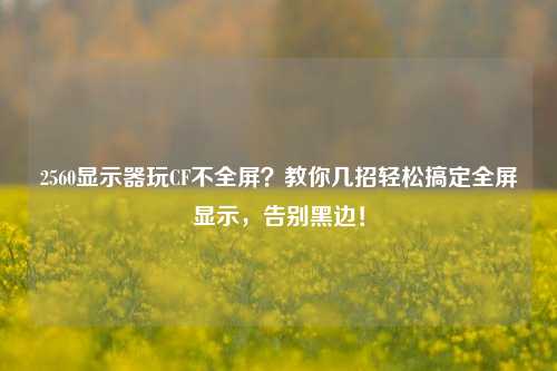 2560显示器玩CF不全屏？教你几招轻松搞定全屏显示，告别黑边！