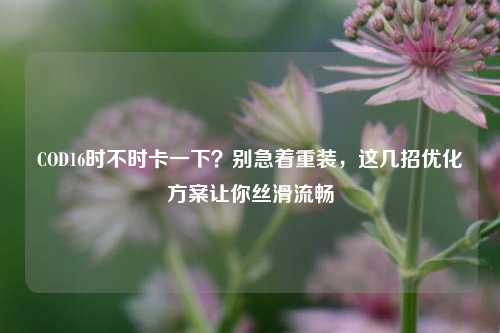 COD16时不时卡一下？别急着重装，这几招优化方案让你丝滑流畅