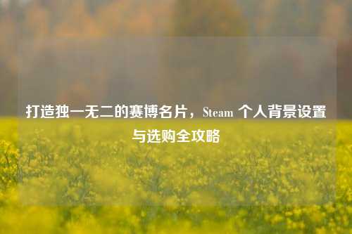 打造独一无二的赛博名片，Steam 个人背景设置与选购全攻略