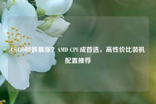 CS:GO帧数暴涨？AMD CPU成首选，高性价比装机配置推荐