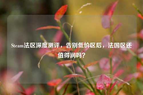 Steam法区深度测评，告别低价区后，法国区还值得润吗？
