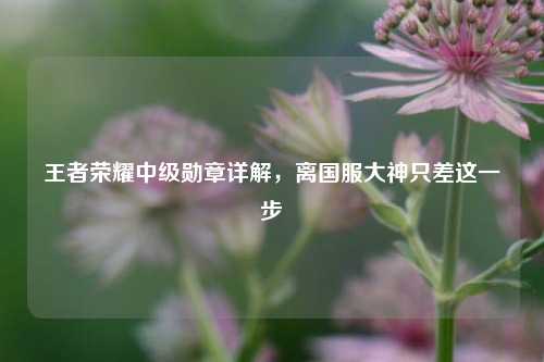 王者荣耀中级勋章详解，离国服大神只差这一步