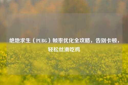 绝地求生（PUBG）帧率优化全攻略，告别卡顿，轻松丝滑吃鸡