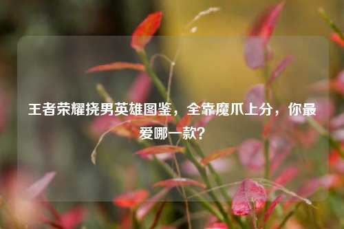 王者荣耀挠男英雄图鉴，全靠魔爪上分，你最爱哪一款？