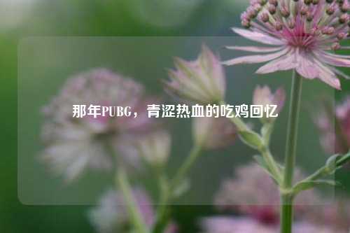 那年PUBG，青涩热血的吃鸡回忆