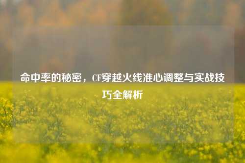 命中率的秘密，CF穿越火线准心调整与实战技巧全解析