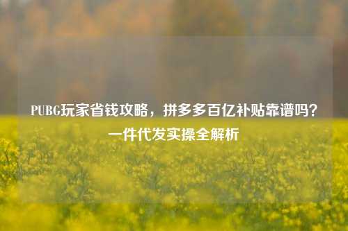 PUBG玩家省钱攻略，拼多多百亿补贴靠谱吗？一件代发实操全解析