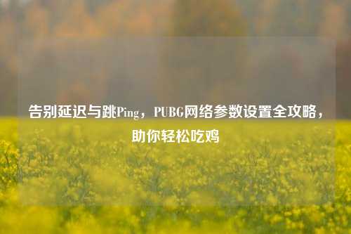 告别延迟与跳Ping，PUBG网络参数设置全攻略，助你轻松吃鸡