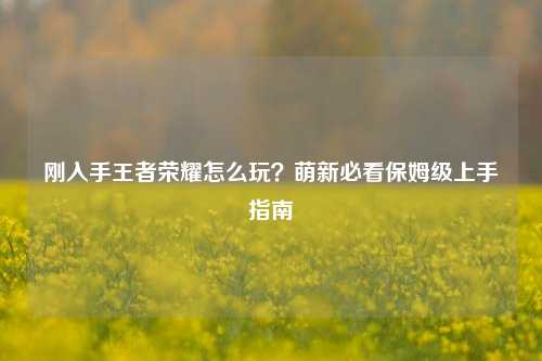 刚入手王者荣耀怎么玩？萌新必看保姆级上手指南
