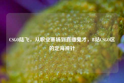 CSGO陆飞，从职业赛场到直播鬼才，B站CSGO区的定海神针