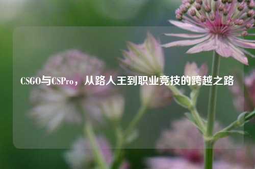CSGO与CSPro，从路人王到职业竞技的跨越之路