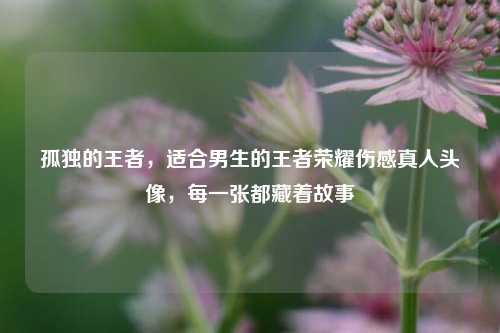孤独的王者，适合男生的王者荣耀伤感真人头像，每一张都藏着故事