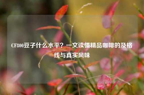 CF800豆子什么水平？一文读懂精品咖啡的及格线与真实风味