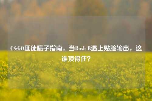 CS:GO匪徒喷子指南，当Rush B遇上贴脸输出，这谁顶得住？