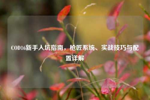 COD16新手入坑指南，枪匠系统、实战技巧与配置详解