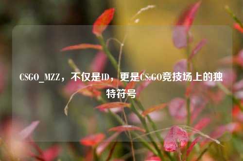 CSGO_MZZ，不仅是ID，更是CS:GO竞技场上的独特符号