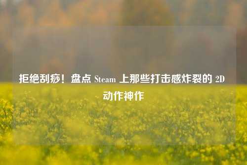 拒绝刮痧！盘点 Steam 上那些打击感炸裂的 2D 动作神作