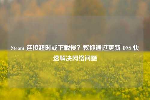 Steam 连接超时或下载慢?教你通过更新 DNS 快速解决网络问题