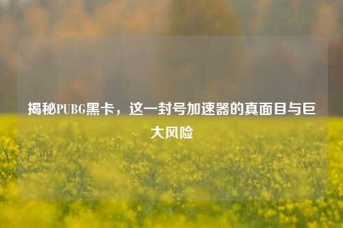 揭秘PUBG黑卡,这一封号加速器的真面目与巨大风险