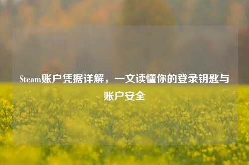 Steam账户凭据详解，一文读懂你的登录钥匙与账户安全