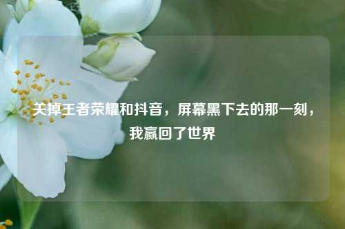 关掉王者荣耀和抖音，屏幕黑下去的那一刻，我赢回了世界