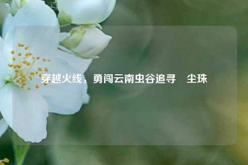穿越火线,勇闯云南虫谷追寻雮尘珠