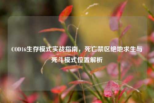 COD16生存模式实战指南,死亡禁区绝地求生与死斗模式位置解析