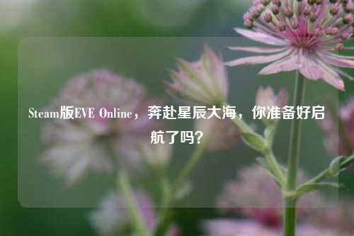 Steam版EVE Online,奔赴星辰大海,你准备好启航了吗?