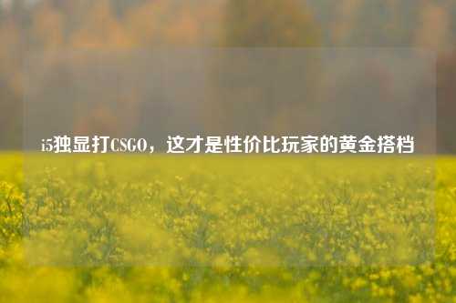 i5独显打CSGO,这才是性价比玩家的黄金搭档