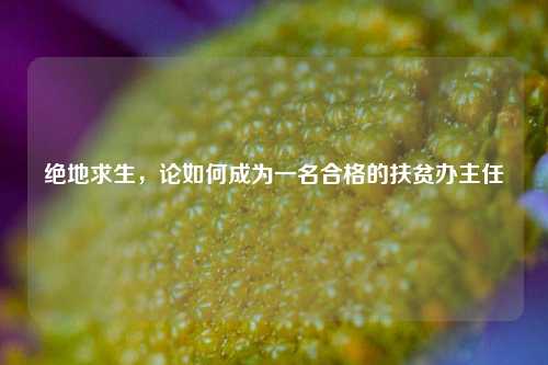 绝地求生,论如何成为一名合格的扶贫办主任
