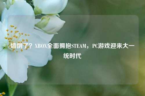 墙倒了？XBOX全面拥抱STEAM，PC游戏迎来大一统时代