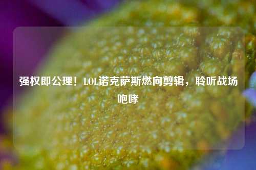 强权即公理!LOL诺克萨斯燃向剪辑,聆听战场咆哮