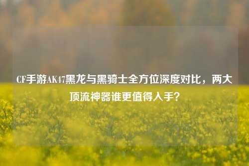 CF手游AK47黑龙与黑骑士全方位深度对比,两大顶流神器谁更值得入手?