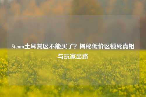 Steam土耳其区不能买了?揭秘低价区锁死真相与玩家出路