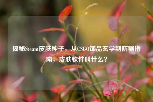 揭秘Steam皮肤种子,从CSGO饰品玄学到防骗指南,皮肤软件叫什么?