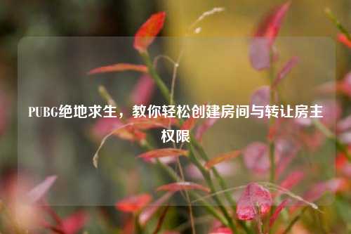 PUBG绝地求生,教你轻松创建房间与转让房主权限