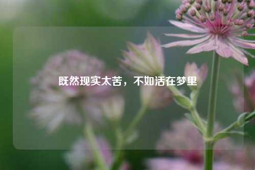 既然现实太苦,不如活在梦里
