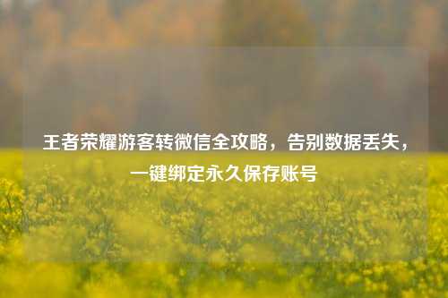 王者荣耀游客转微信全攻略,告别数据丢失,一键绑定永久保存账号