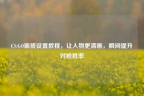 CS:GO画质设置教程,让人物更清晰,瞬间提升对枪胜率