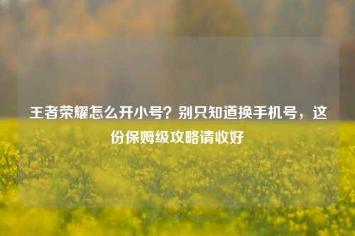 王者荣耀怎么开小号?别只知道换手机号,这份保姆级攻略请收好