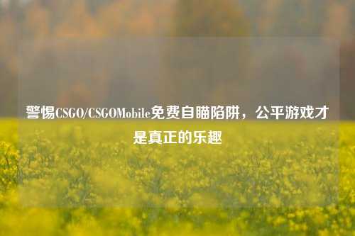 警惕CSGO/CSGOMobile免费自瞄陷阱,公平游戏才是真正的乐趣