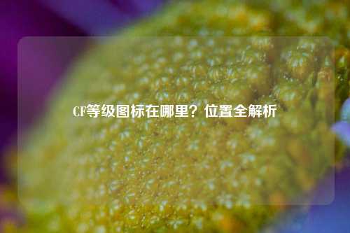 CF等级图标在哪里?位置全解析