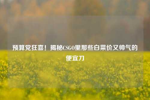 预算党狂喜!揭秘CSGO里那些白菜价又帅气的便宜刀