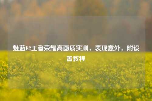 魅蓝E2王者荣耀高画质实测,表现意外,附设置教程